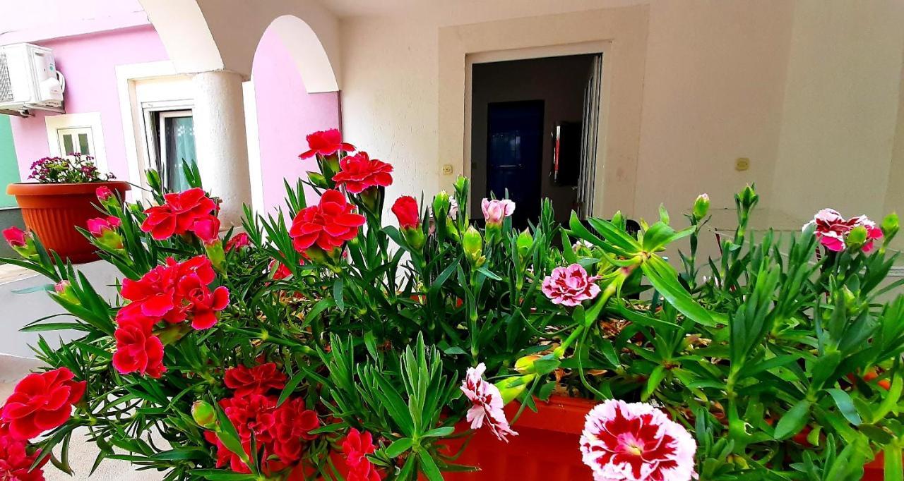 Ema & Sea Apartment's With Free Private Parking Apartment