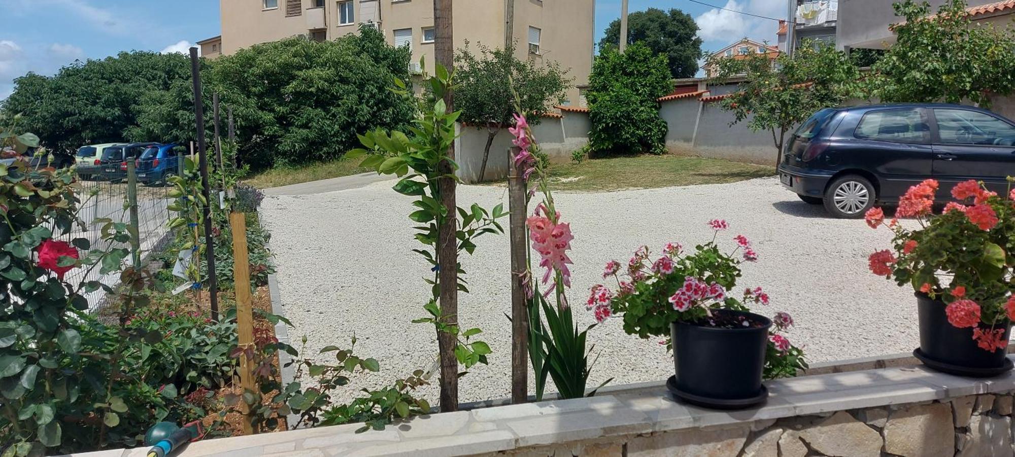 Ema & Sea Apartment's With Free Private Parking Pula