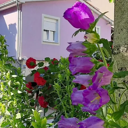 Ema & Sea Apartment'S With Free Private Parking Pula Exterior photo