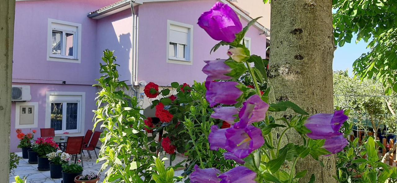 Ema & Sea Apartment's With Free Private Parking Pula