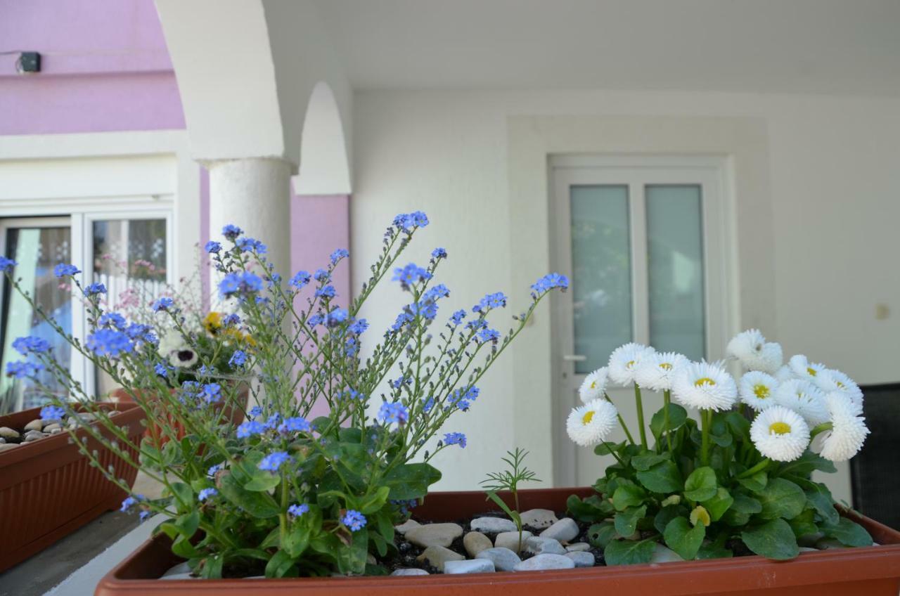 Apartment Ema & Sea Apartment's With Free Private Parking Pula